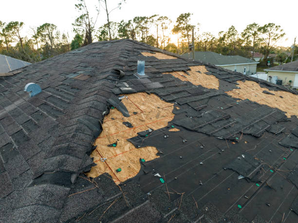 Trusted Knob Noster, MO Roofing Service Experts