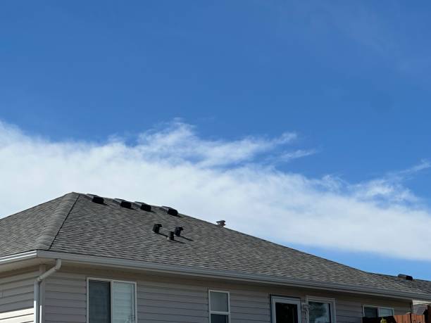 Best Gutter Installation and Repair  in Knob Noster, MO