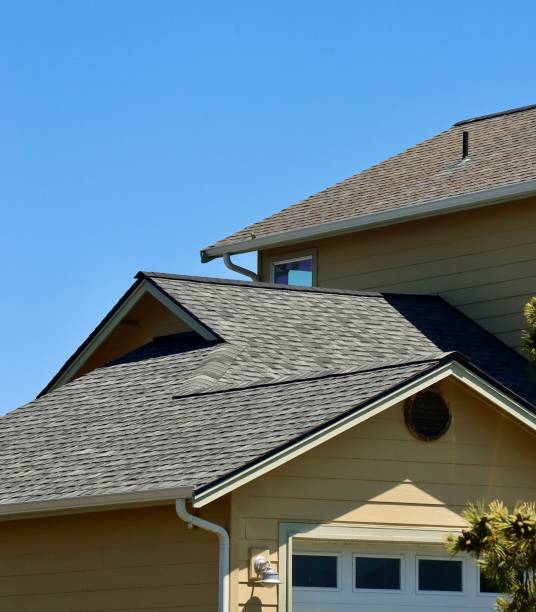 Best Solar Panel Roofing Installation  in Knob Noster, MO